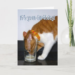 Grappige kat drinkt uit glas - Gefeliciteerd Kaart