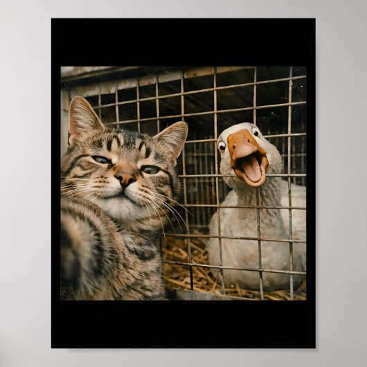 Grappige kat en gans selfie vreemde dieren vriends poster (Voorkant)