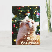 Grappige Kat en Groene Boom&Prettig Uniek Kerstfee Kaart (Voorkant)