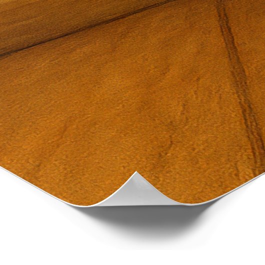 Grappige kat- en hondmuurdecoratie poster (Hoek)