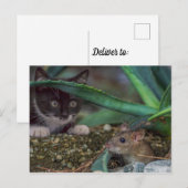 Grappige kat- en muis-ansichtkaart briefkaart (Voorkant / Achterkant)