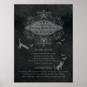 Grappige kat en vleermuizen drankje recept speelse poster (Voorkant)