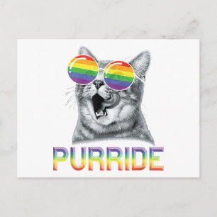 Grappige Kat Gay Pride Regenboog Zonnebril LGBTQ  Briefkaart