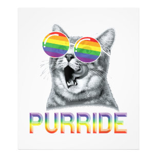 Grappige Kat Gay Pride Regenboog Zonnebril LGBTQ Foto Afdruk