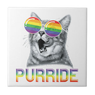 Grappige Kat Gay Pride Regenboonbril LGBTQ  Tegeltje