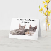 Grappige kat 'Geef ons tonijn' Verjaardag Kaart (Gele Bloem)