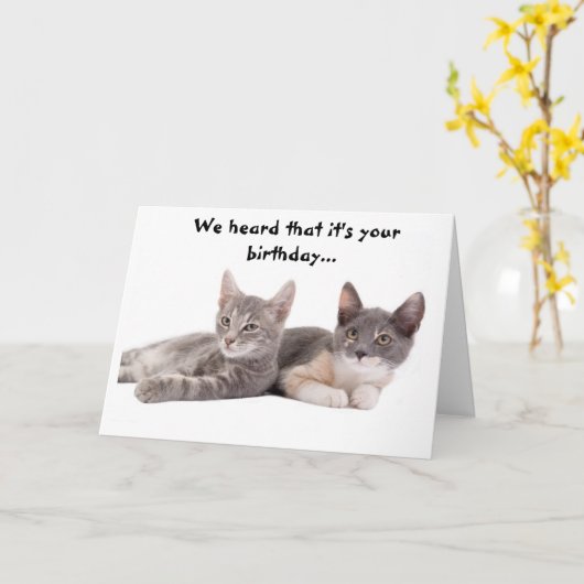 Grappige kat 'Geef ons tonijn' Verjaardag Kaart (Gele Bloem)