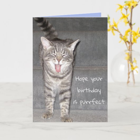 Grappige kat geeuwen verjaardag kaart (Gele Bloem)