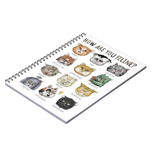 Grappige kat gevoelens grafiek Hoe voel jij je als Notitieboek (Linkerzijde)