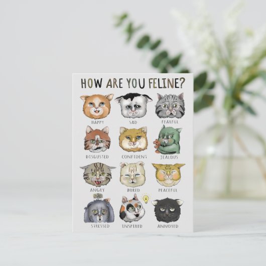 Grappige kat gevoelens grafiek Hoe voel jij je kat Briefkaart (Staand voorkant)