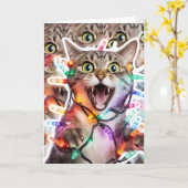 Grappige kat gevouwen kerst Kaart (Gele Bloem)