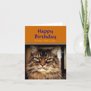 Grappige kat glimlach het is je verjaardagsgroet kaart