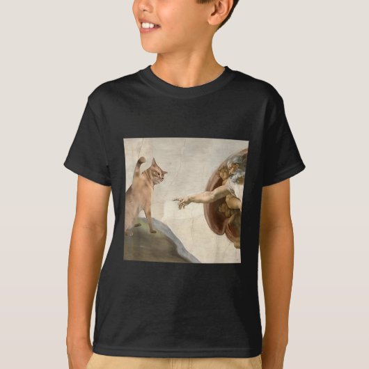 Grappige kat God Schepping van Adam Meme Jezus T-shirt (Voorkant)