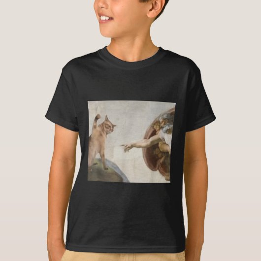 Grappige kat God Schepping van Adam Meme Michelang T-shirt (Voorkant)