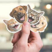Grappige kat & hond gezichten met uw aangepaste fo sticker
