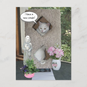 Grappige kat / Ik ben verhuisd / Nieuw adres Aankondigingskaart