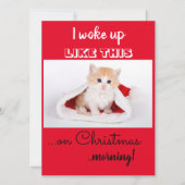 Grappige kat ik werd wakker zoals dit kerstmis feestdagenkaart (Voorkant)