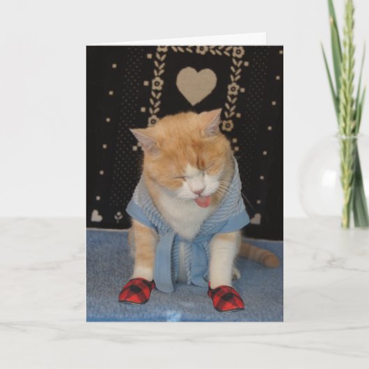  grappige kat in badjas wordt beter kaart (Voorkant)