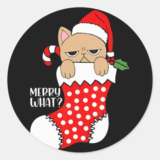 Grappige kat in kous kerst kat Kerstmis Ronde Sticker (Voorkant)