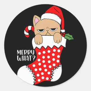 Grappige kat in kous kerst kat Kerstmis Ronde Sticker