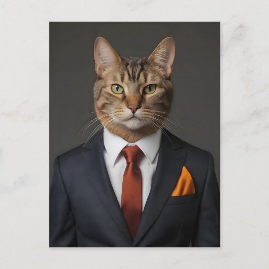 Grappige kat in pak briefkaart (Voorkant)