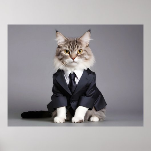 Grappige kat in pak poster (Voorkant)