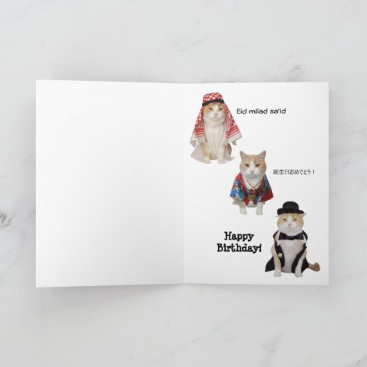 Grappige kat / Kat Happy Birthday in zes talen Kaart (Binnen)