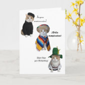 Grappige kat / Kat Happy Birthday in zes talen Kaart (Gele Bloem)