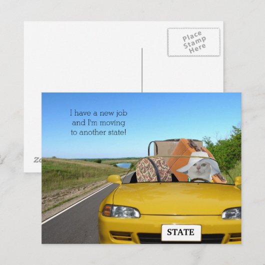  grappige kat/Kat verhuizen Aankondigingskaart (Voorkant / Achterkant)