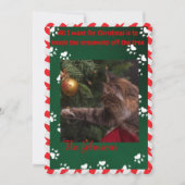Grappige kat kerst Kaart - Ornamenten uit de boom (Voorkant)