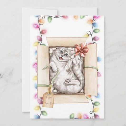 Grappige Kat Kerst Kaarten 2 (Voorkant)