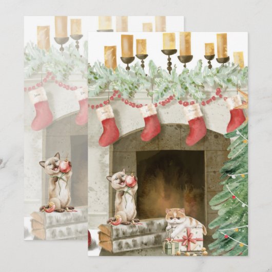 Grappige Kat Kerst Kaarten 4 (Voorkant / Achterkant)