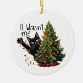 Grappige kat kerst ornament (Voorkant)
