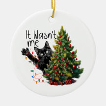 Grappige kat kerst ornament