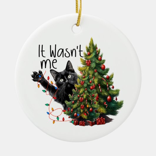 Grappige kat kerst ornament (Voorkant)
