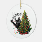 Grappige kat kerst ornament (Links)