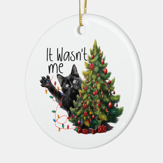Grappige kat kerst ornament (Links)