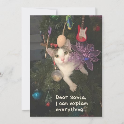 Grappige kat Kerstman Ik kan alles uitleggen Kerst Feestdagenkaart (Voorkant)