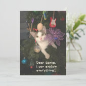 Grappige kat Kerstman Ik kan alles uitleggen Kerst Feestdagenkaart (Staand voorkant)