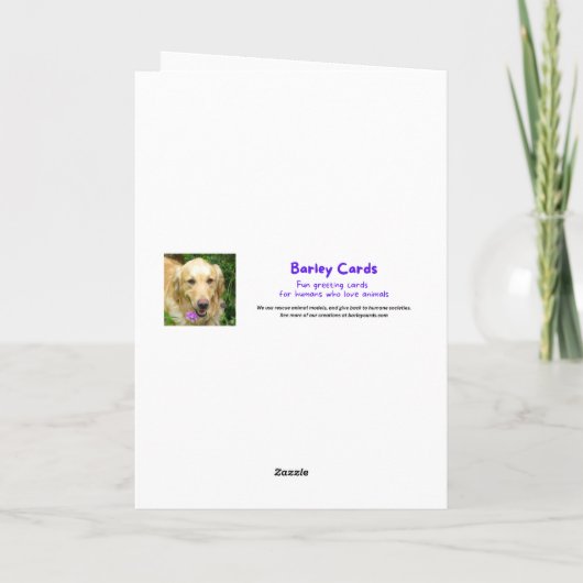 Grappige kat Kerstman Ik kan alles uitleggen Kerst Kaart (Achterkant)