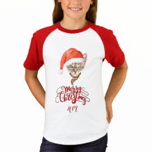 Grappige Kat Kerstman Winter Vrolijk Kerstfeest