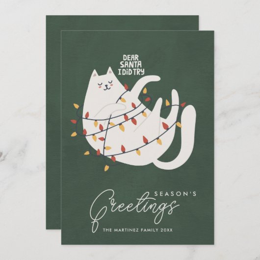 Grappige Kat Kerstverlichting Seizoen Groeten Feestdagenkaart (Voorkant / Achterkant)