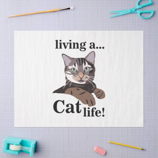 Grappige Kat Kitty Tissuepapier (Craft)