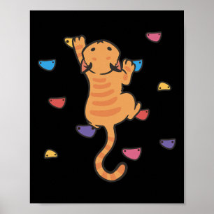 Grappige Kat Klimmer Rots Klimmen Schattig Boulder Poster