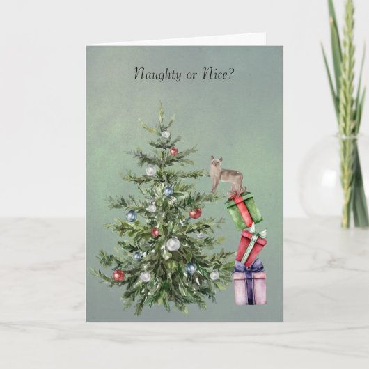 Grappige kat klimt in een kerstboom kerstkaart feestdagen kaart (Voorkant)