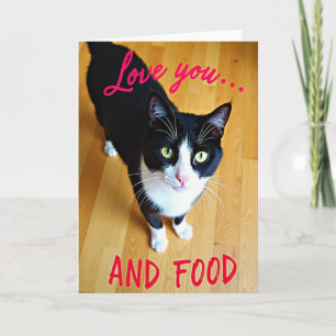 Grappige kat liefde voedsel kaart