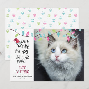 Grappige kat LIEVE HEILIGE NIETEN Foto Feestdagenkaart