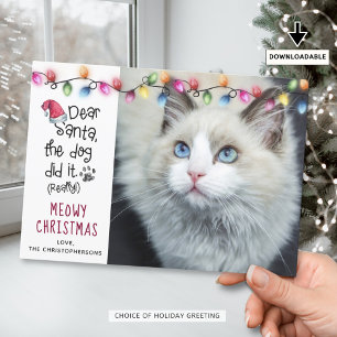 Grappige Kat LIEVE SANTA Kerstverlichting Foto Feestdagenkaart