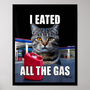 Grappige kat meme ik at gewild alle gas grappige m poster