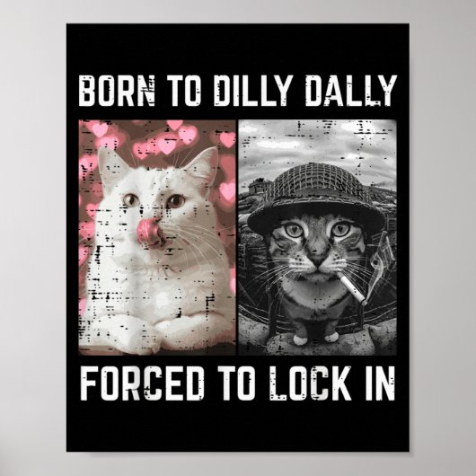 Grappige kat meme internet jongens jeugd kinderen poster (Voorkant)
